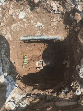 67559742.png image.png (4).png